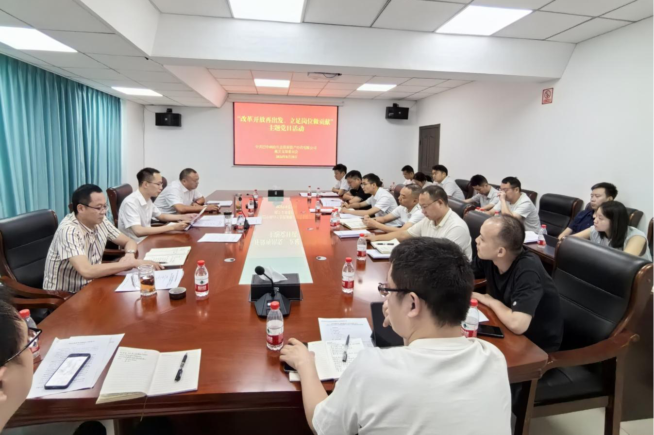 巴中兩山公司開展“改革開放再出發(fā)、立足崗位做貢獻(xiàn)”主題黨日活動